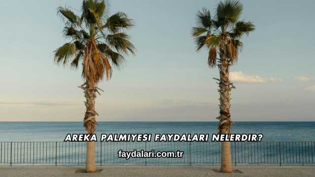 Areka Palmiyesi Faydaları Nelerdir?