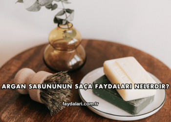 Argan Sabununun Saça Faydaları Nelerdir?