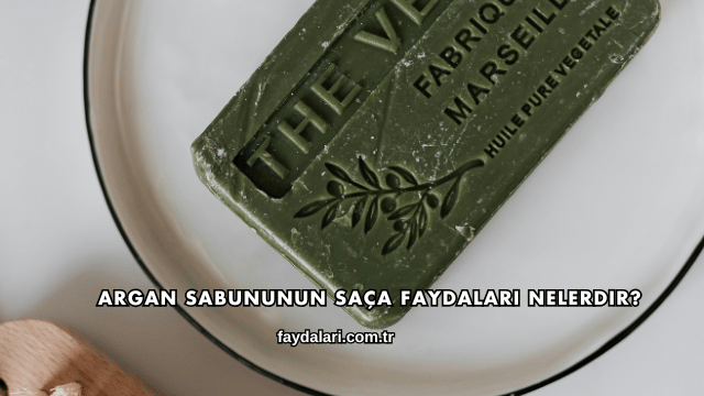 Argan Sabununun Saça Faydaları Nelerdir?