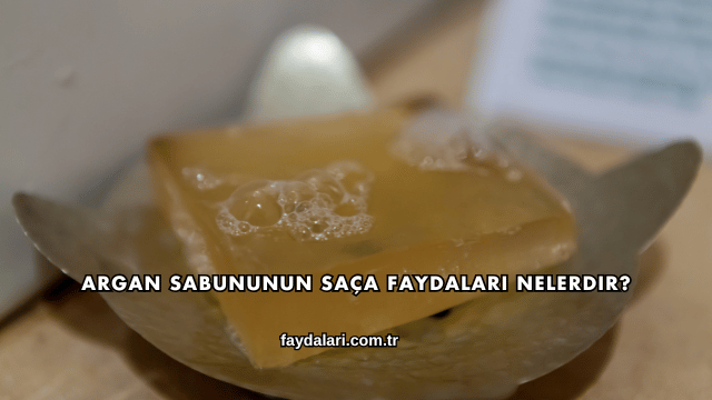 Argan Sabununun Saça Faydaları Nelerdir?