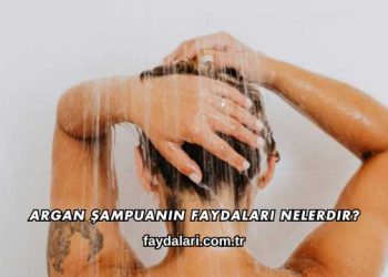 Argan Şampuanın Faydaları Nelerdir?