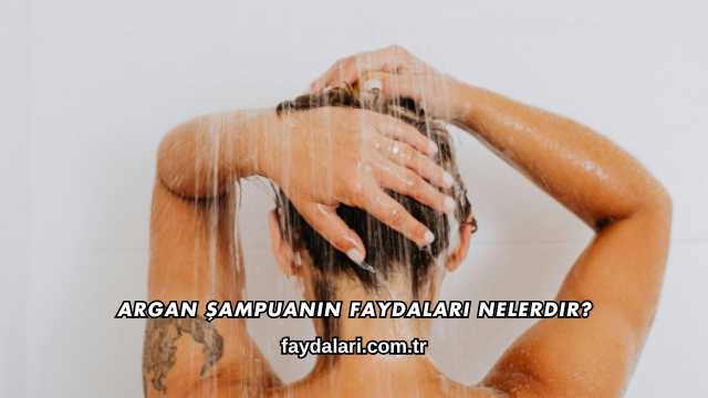 Argan Şampuanın Faydaları Nelerdir?