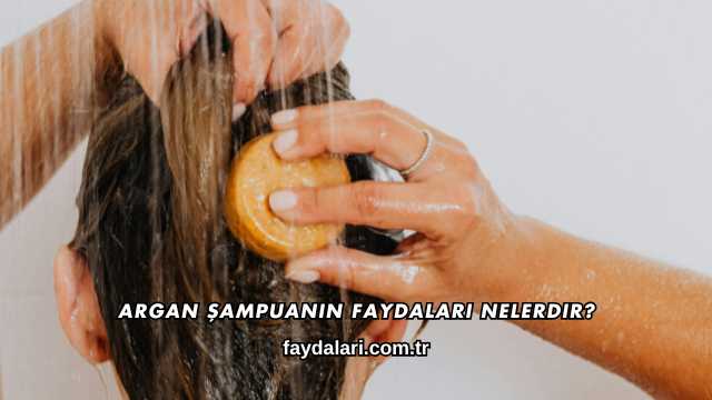 Argan Şampuanın Faydaları Nelerdir?