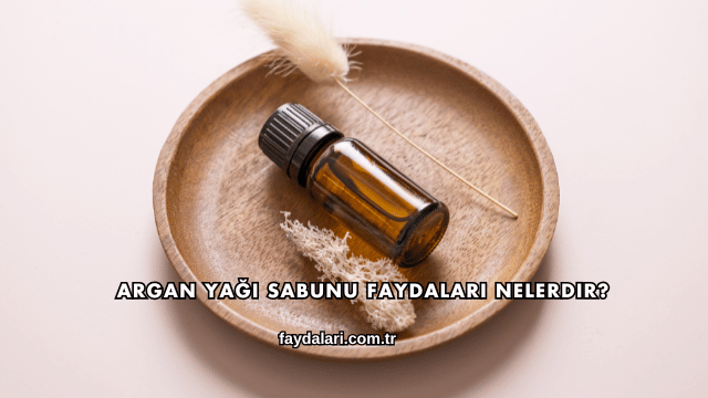Argan Yağı Sabunu Faydaları Nelerdir?