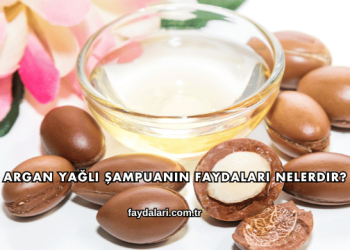Argan Yağlı Şampuanın Faydaları Nelerdir?