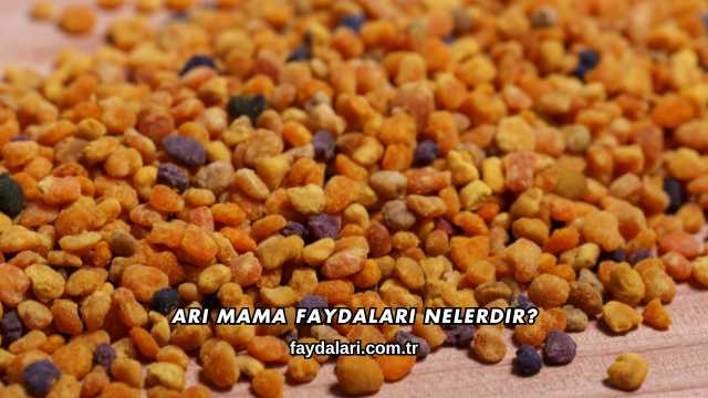 Arı Mama Faydaları Nelerdir?