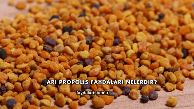 Arı Propolis Faydaları Nelerdir?