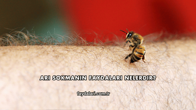 Arı Sokmanın Faydaları Nelerdir?