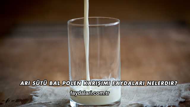 Arı Sütü Bal Polen Karışımı Faydaları Nelerdir?