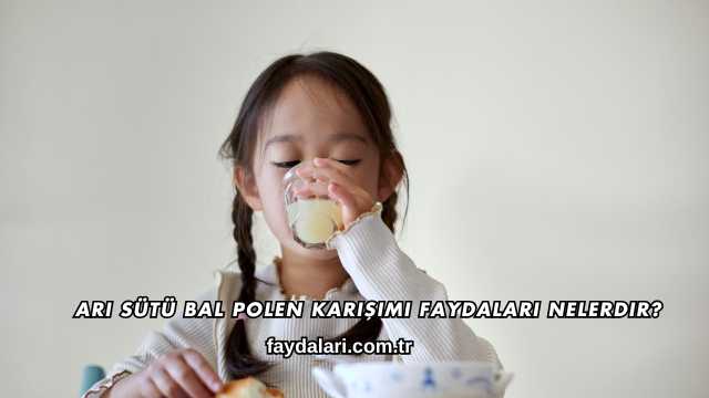 Arı Sütü Bal Polen Karışımı Faydaları Nelerdir?