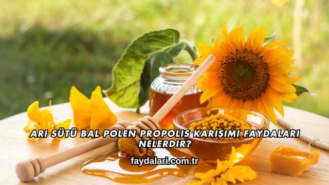 Arı Sütü Bal Polen Propolis Karışımı Faydaları Nelerdir?