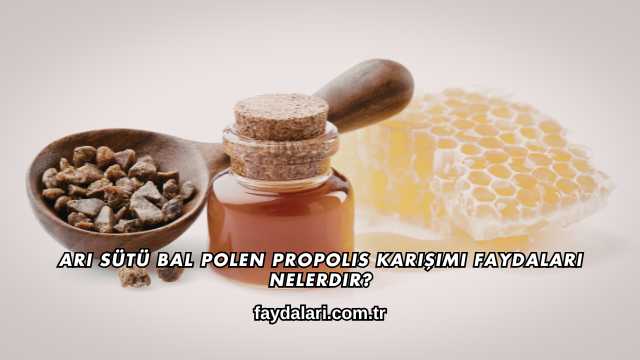Arı Sütü Bal Polen Propolis Karışımı Faydaları Nelerdir?
