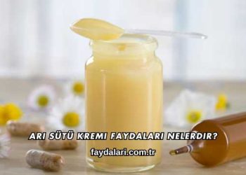 Arı Sütü Kremi Faydaları Nelerdir?
