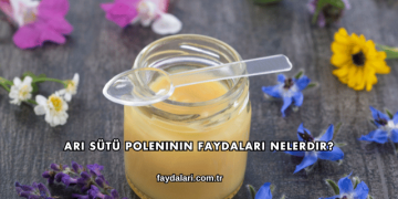 Arı Sütü Poleninin Faydaları Nelerdir?
