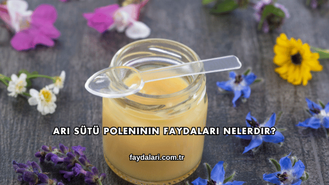 Arı Sütü Poleninin Faydaları Nelerdir?