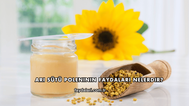 Arı Sütü Poleninin Faydaları Nelerdir?
