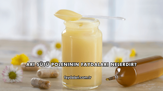 Arı Sütü Poleninin Faydaları Nelerdir?
