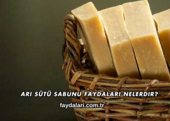 Arı Sütü Sabunu Faydaları Nelerdir?