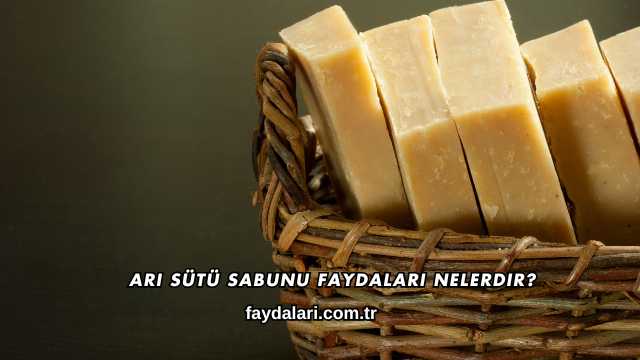 Arı Sütü Sabunu Faydaları Nelerdir?