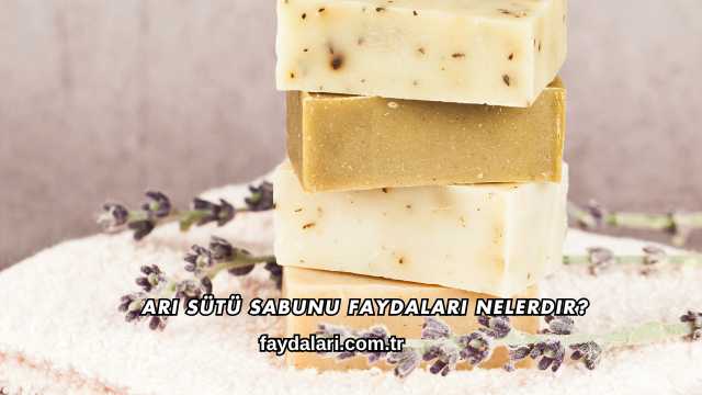 Arı Sütü Sabunu Faydaları Nelerdir?