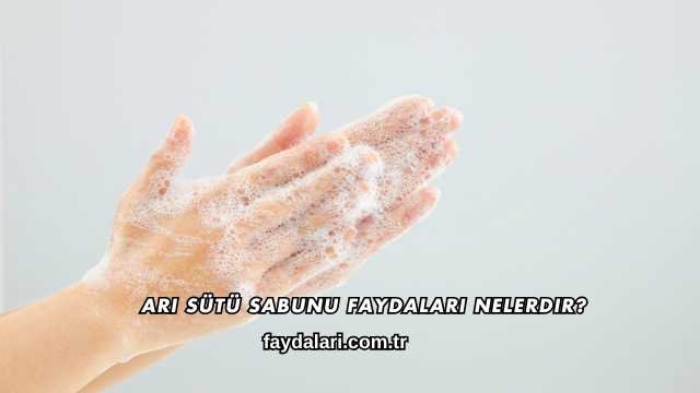 Arı Sütü Sabunu Faydaları Nelerdir?