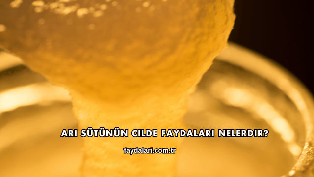 Arı Sütünün Cilde Faydaları Nelerdir?