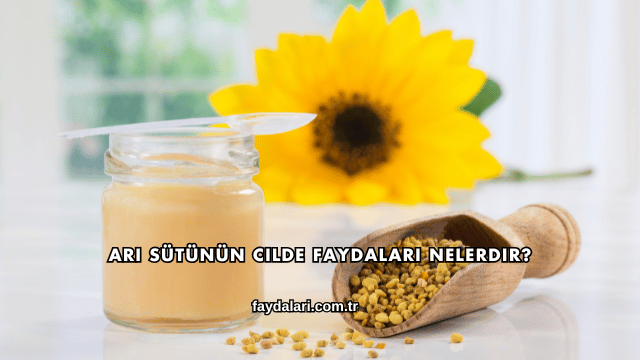 Arı Sütünün Cilde Faydaları Nelerdir?