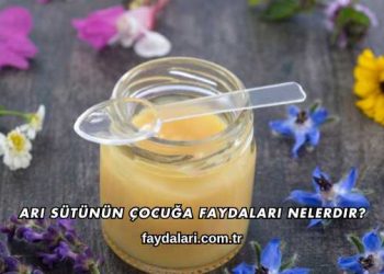 Arı Sütünün Çocuğa Faydaları Nelerdir?