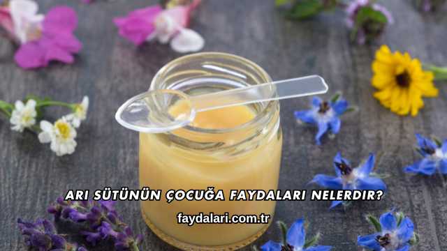 Arı Sütünün Çocuğa Faydaları Nelerdir?
