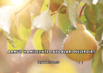 Armut Hamilelikte Faydaları Nelerdir?
