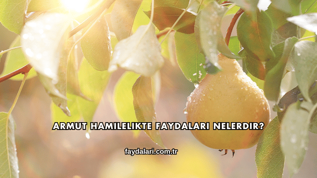 Armut Hamilelikte Faydaları Nelerdir?