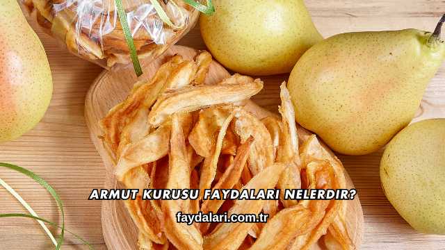 Armut Kurusu Faydaları Nelerdir?