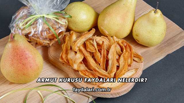 Armut Kurusu Faydaları Nelerdir?