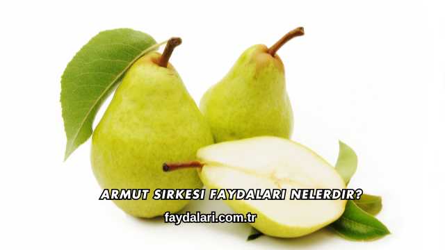 Armut Sirkesi Faydaları Nelerdir?