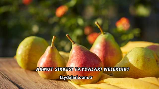 Armut Sirkesi Faydaları Nelerdir?
