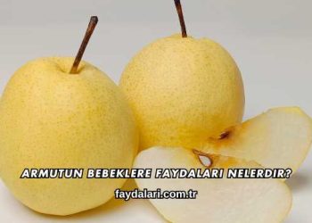 Armutun Bebeklere Faydaları Nelerdir?