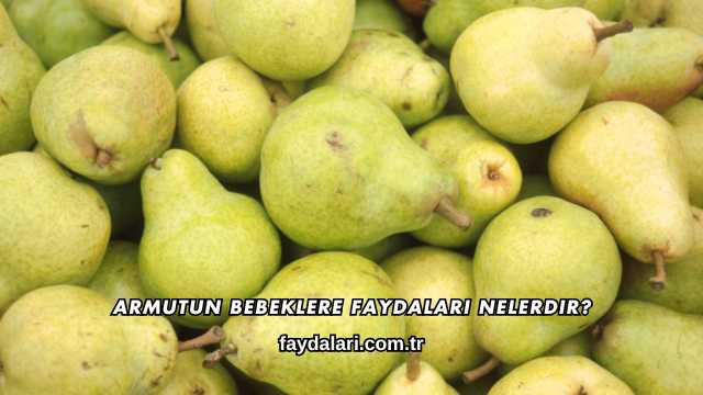 Armutun Bebeklere Faydaları Nelerdir?
