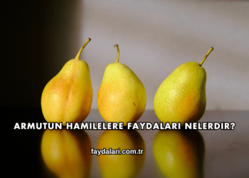 Armutun Hamilelere Faydaları Nelerdir?