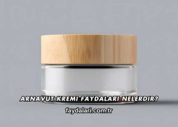 Arnavut Kremi Faydaları Nelerdir?