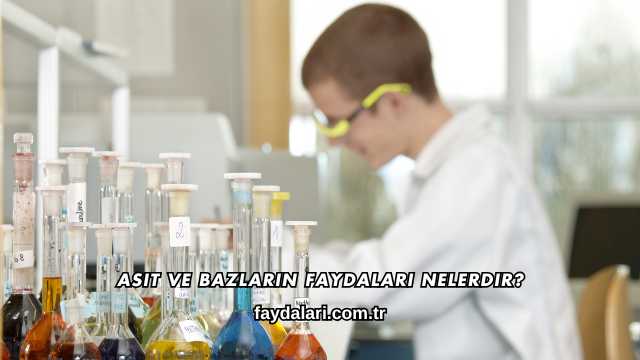 Asit ve Bazların Faydaları Nelerdir?