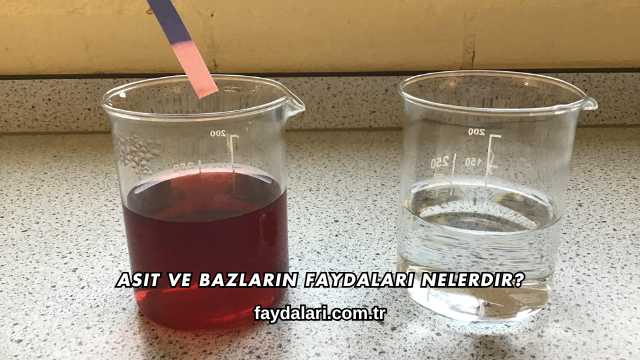 Asit ve Bazların Faydaları Nelerdir?