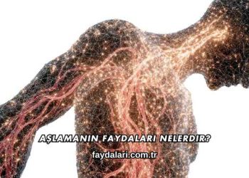 Aşlamanın Faydaları Nelerdir?