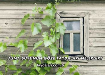 Asma Suyunun Göze Faydaları Nelerdir?