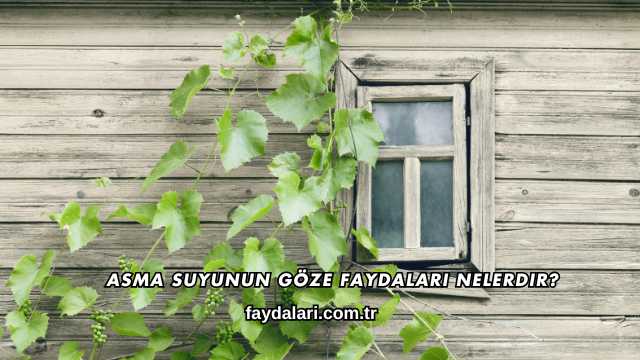 Asma Suyunun Göze Faydaları Nelerdir?