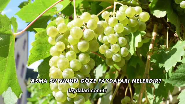 Asma Suyunun Göze Faydaları Nelerdir?