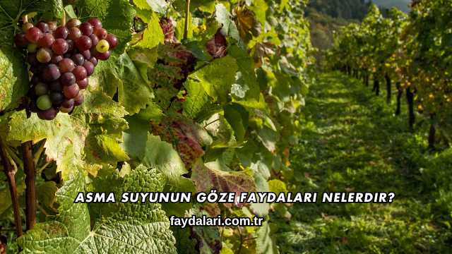 Asma Suyunun Göze Faydaları Nelerdir?