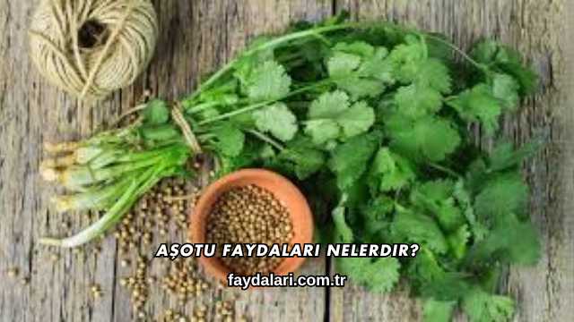 Aşotu Faydaları Nelerdir?