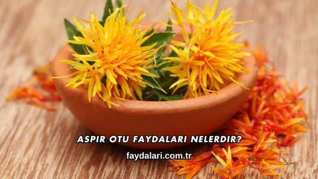 Aspir Otu Faydaları Nelerdir?