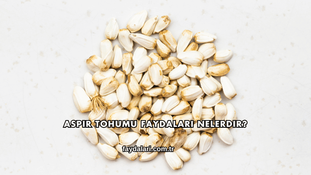 Aspir Tohumu Faydaları Nelerdir?