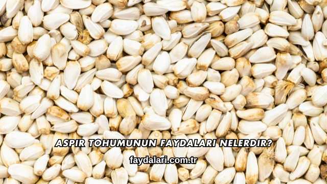 Aspir Tohumunun Faydaları Nelerdir?